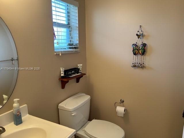 Image 5