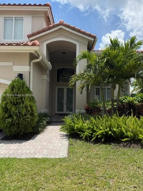 Image 6