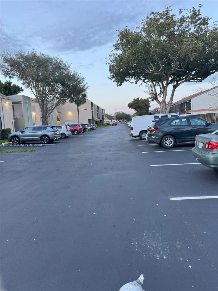 7175 orange # 203H, Davie FL 33314